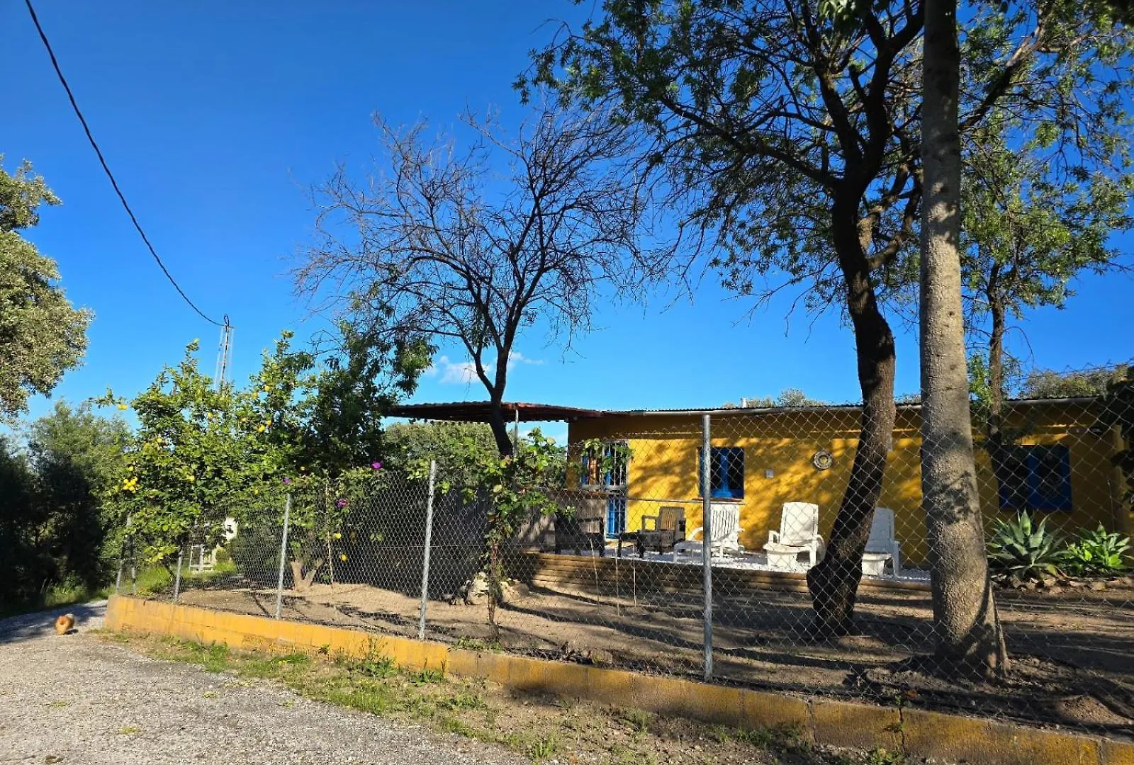 Las Tres Fincas With Shared Pool Coin