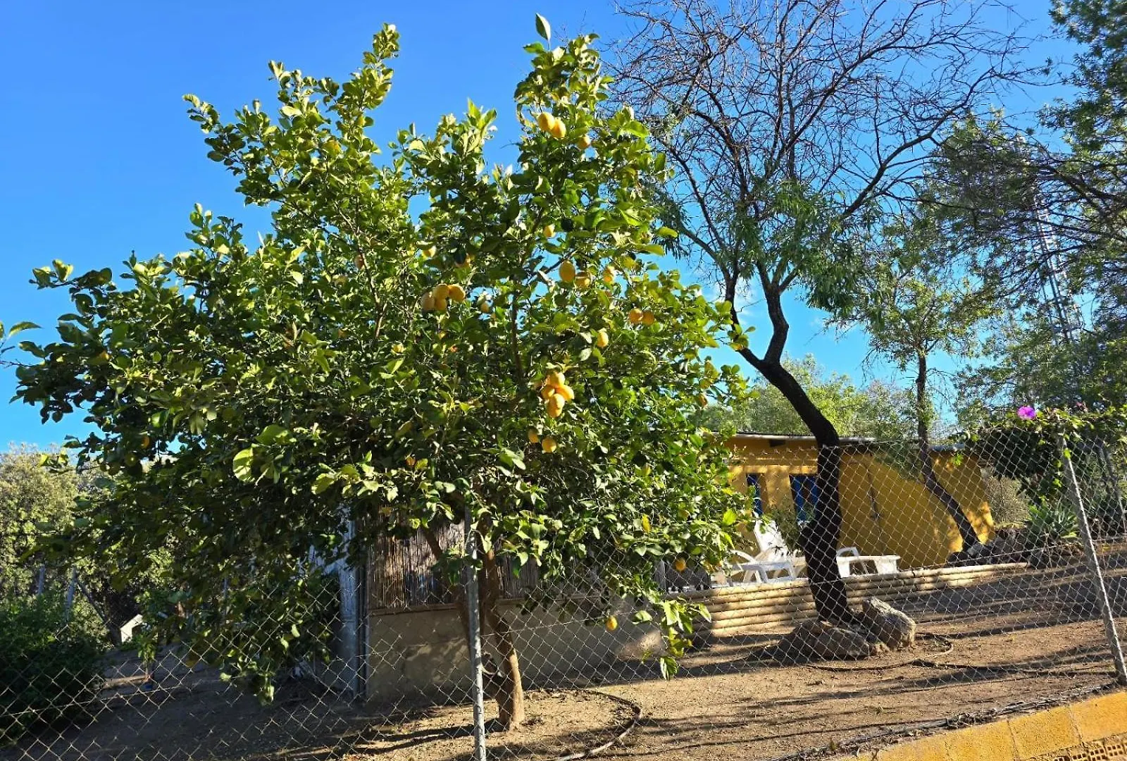 Las Tres Fincas With Shared Pool contacts