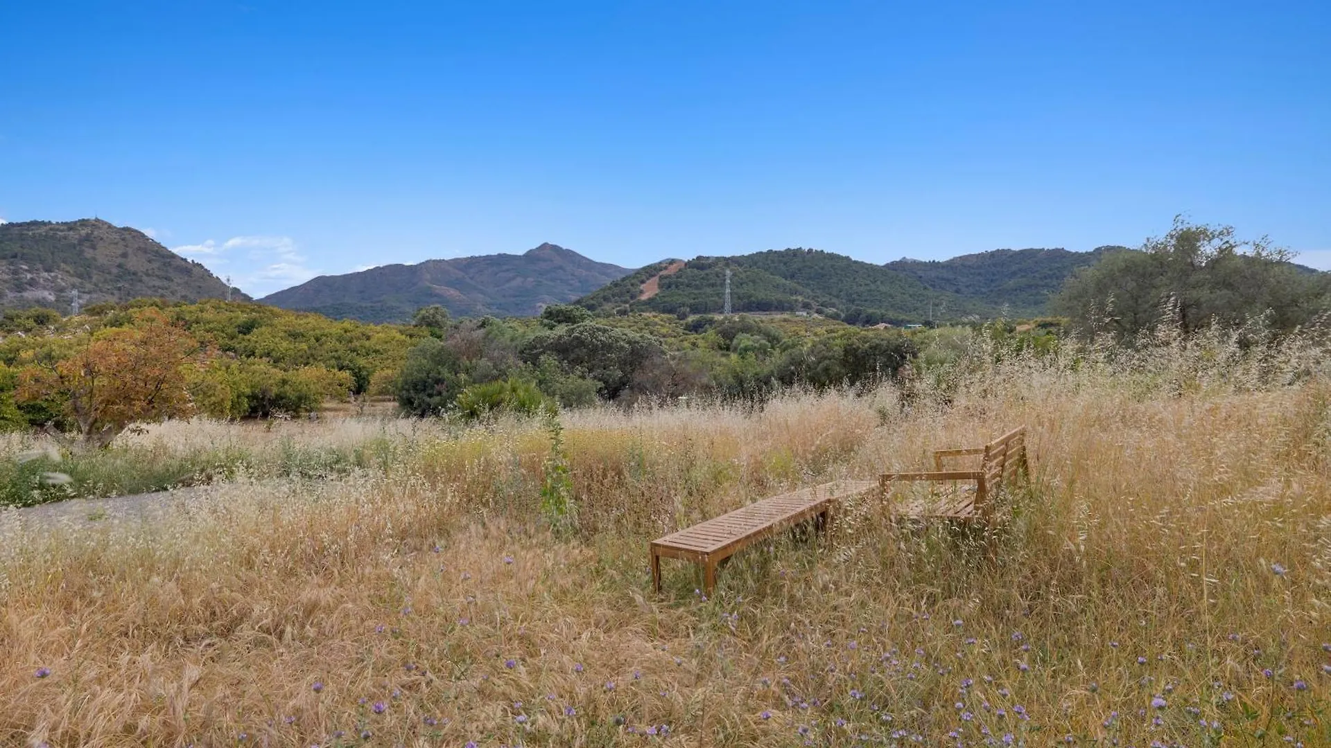 Las Tres Fincas With Shared Pool Coin Holiday home